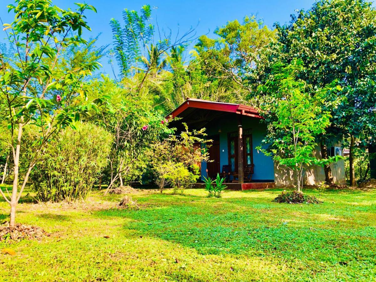 Sungreen Cottage Sigiriya Exterior foto