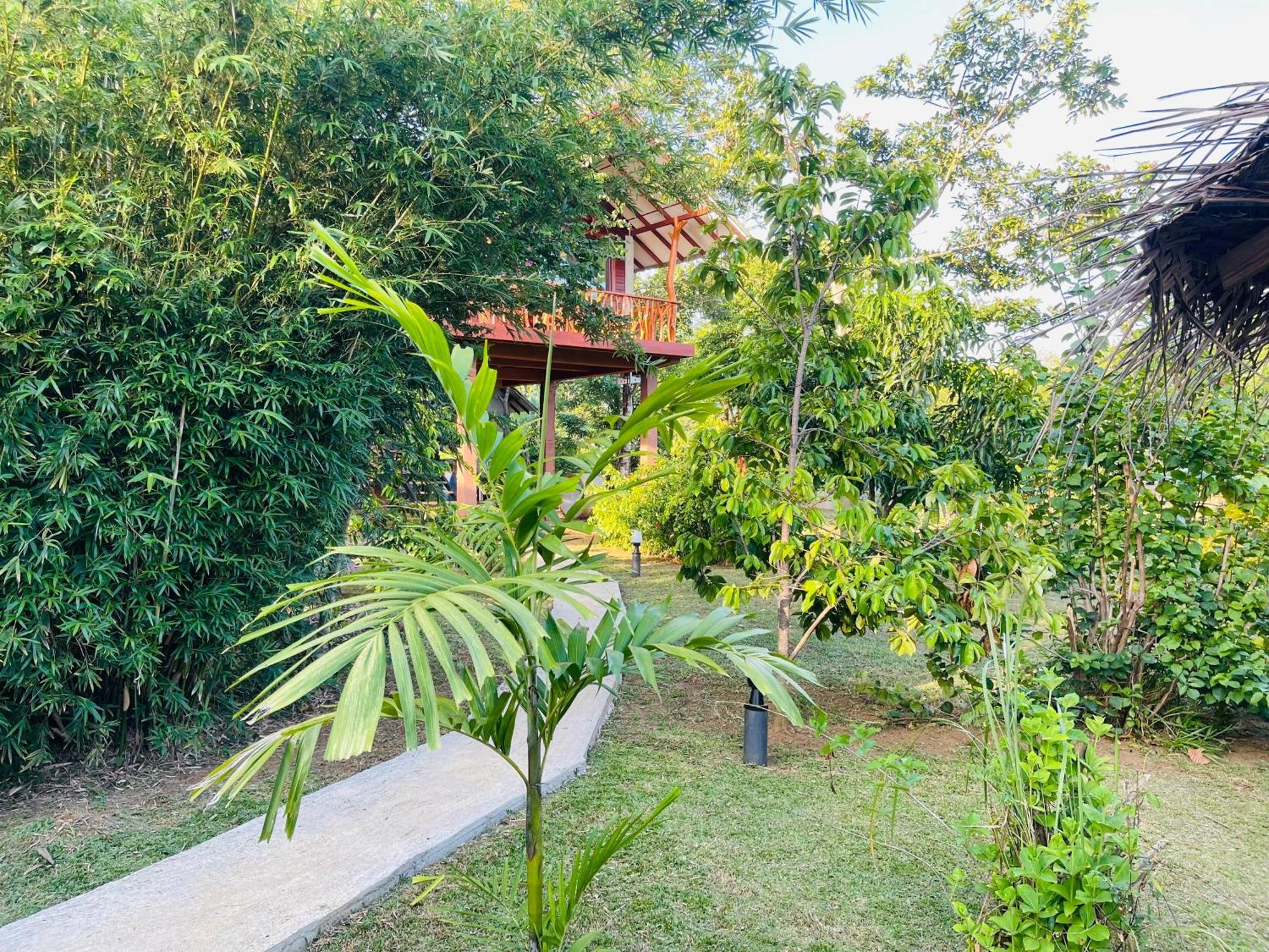 Sungreen Cottage Sigiriya Exterior foto